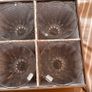 tipperary crystal glasses flutes Image 6