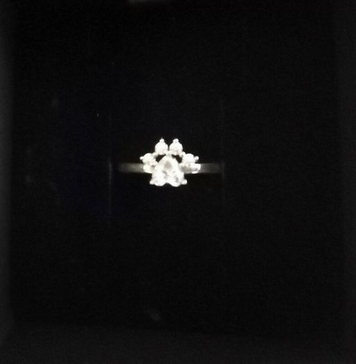 Cat paw silver ring