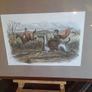 Set of 8 Vintage Horse Prints Image 5