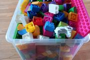 Duplo compatible bricks