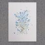 Original Watercolour Floral Painting Image 4