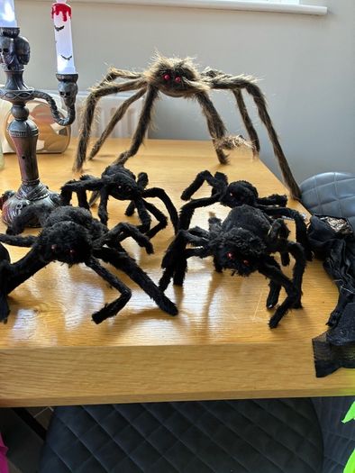 Halloween Bundle.