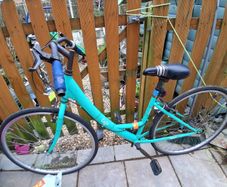 ladies bike