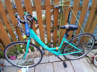 ladies bike