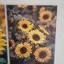 3 framed large canvas Image 6