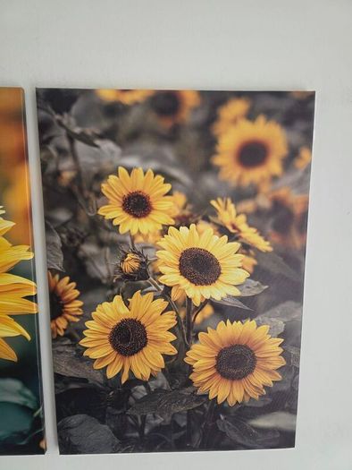 3 framed large canvas
