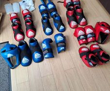 TKD sparring gear