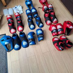 TKD sparring gear
