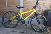 bike