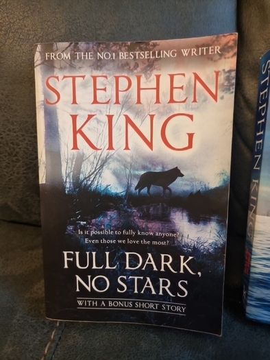 Two Stephen King novels 2000s era.