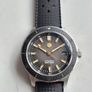 san martin diver Image 9