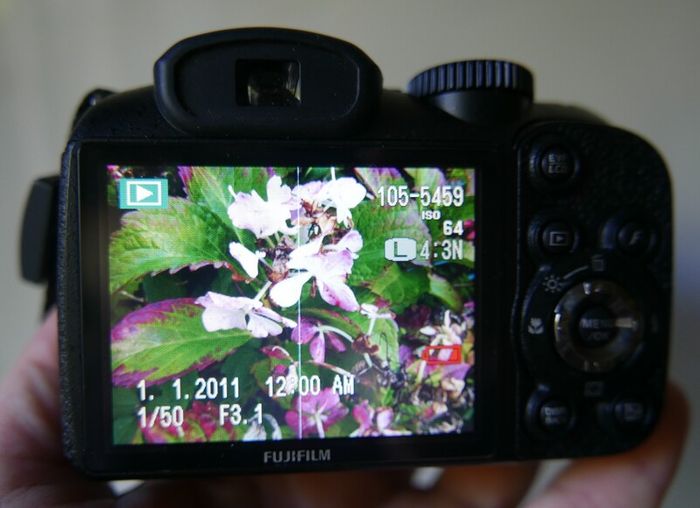 Fujifilm FinePix S2950 14MP Digital Bridge Camera