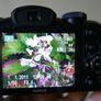 Fujifilm FinePix S2950 14MP Digital Bridge Camera Image 4