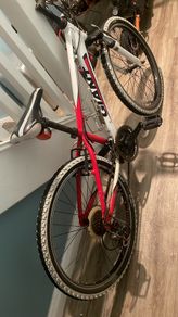 giant bike