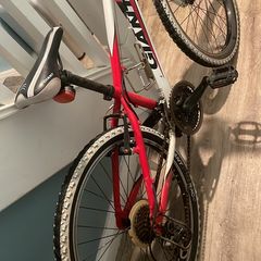 giant bike