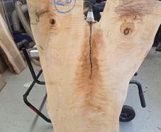 Live Edge Sycamore slab