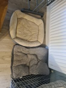 x2 free dog beds