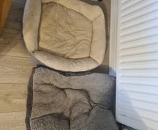 x2 free dog beds