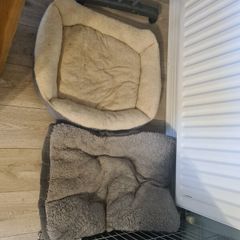 x2 free dog beds