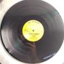 The Shaker - Strong To Survive - Ugly Bug Records - Pete SHAKER Bones CLASSIC! Image 5