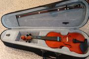 Violin
