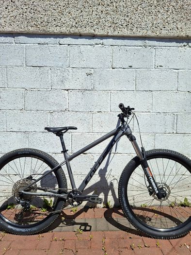 Carrera Sulcata 3.1