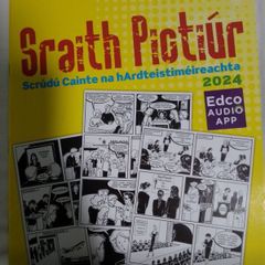 Irish Leaving Cert Sraith Pictiur