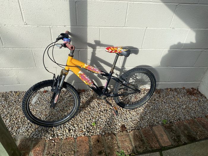 19" kids bike