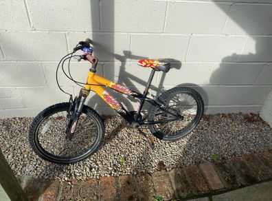 19" kids bike