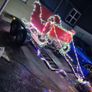 Santa's sleigh Image 2