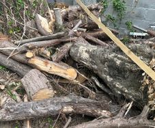 free logs