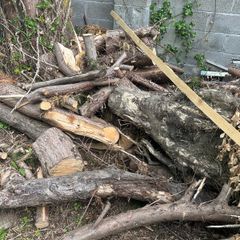 free logs