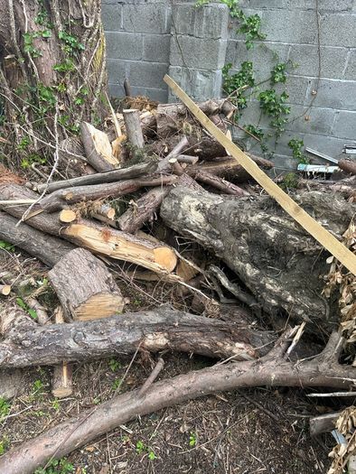 free logs