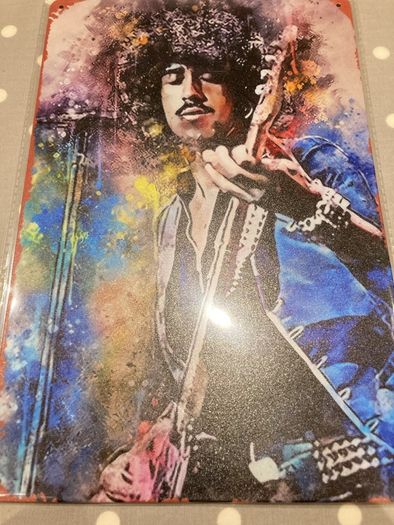 Phil Lynott / Thin Lizzy Wall Plaque (30cmx20cm)