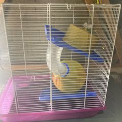hamster cage plus accessories see description