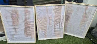 3 picture frame set