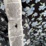Floral print ladies dress size 16 New without tags Image 9