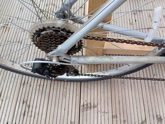 adults bike