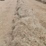 Hay Image 3