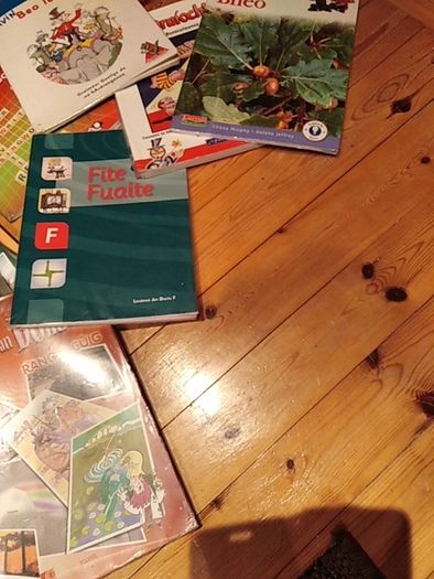 Primary / Gaelscoil books - various prices