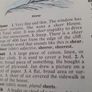 Vintage Childcraft Dictionary Image 5