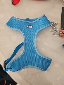Dog Harness