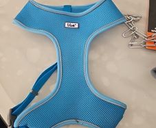 Dog Harness