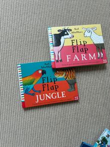 Flip Flap Books