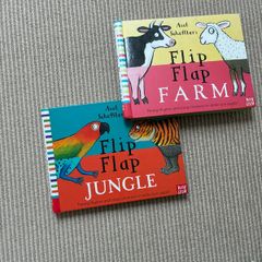 Flip Flap Books