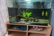 150L tank