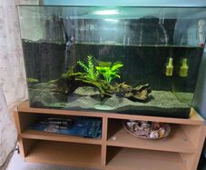 150L tank