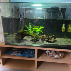 150L tank