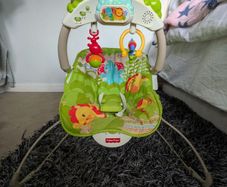 Fisher Price bouncer chair
