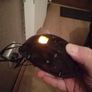 electronic wax melter Image 3